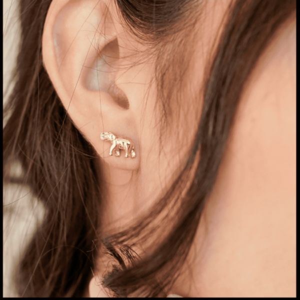 Elephant Earrings